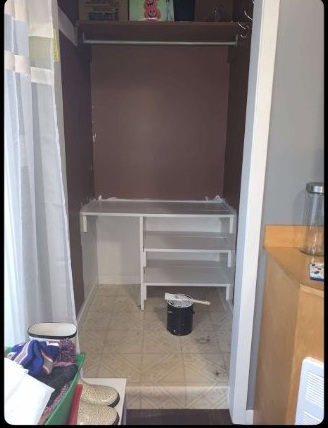 Before Closet Repaint